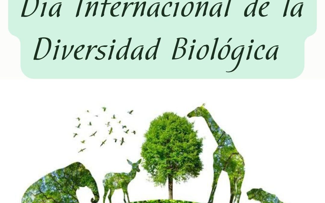 DÍA INTERNACIONAL DE LA DIVERSIDAD BIOLÓGICA