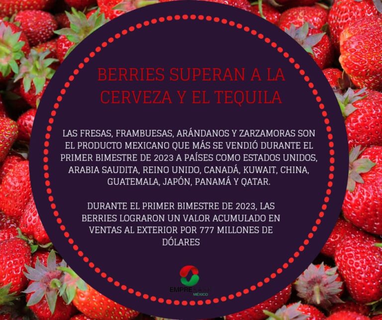 BERRIES SUPERAN A LA CERVEZA Y EL TEQUILA