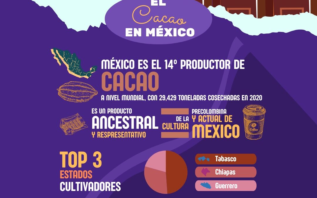 El cacao en México