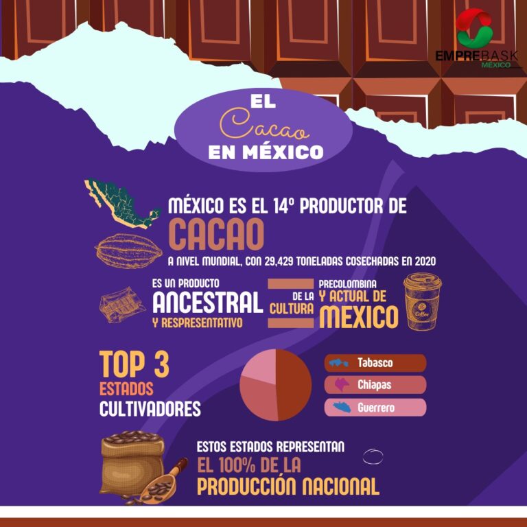 El cacao en México